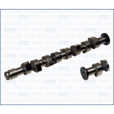 WG1009707 WILMINK GROUP Распредвал
