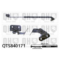 QTS840171 QUINTON HAZELL Газова пружина кришка багажника