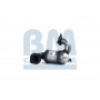 BM80309H BM CATALYSTS Катализатор