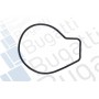 PA10036 BUGATTI Водяний насос охолодження двигуна