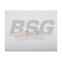 BSG 30-109-041 BSG Планка успокоювача ланцюг приводу
