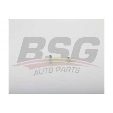 BSG 30-109-041 BSG Планка успокоювача ланцюг приводу