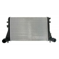 Интеркулер THERMOTEC DAW009TT
