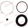 114-0291 QUICK BRAKE Ремкомплект, Гальмівний супорт