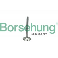 випускний клапан Borsehung B19013