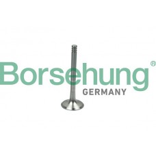 випускний клапан Borsehung B19013