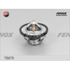 TS075 FENOX Термостат охолоджувальна рідина