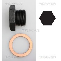 9500 2701 TRISCAN Різьбова пробка, Масляний піддон