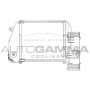 103769 AUTOGAMMA Интеркулер