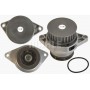 CP 23 000P MAHLE Водяний насос охолодження двигуна