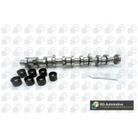 WG1490638 WILMINK GROUP Комплект розподільного валу