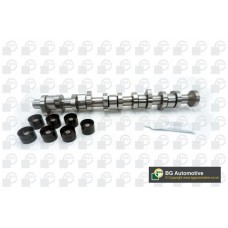 WG1490638 WILMINK GROUP Комплект розподільного валу