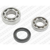R168.49 SNR Комплект підшипника ступиці колеса