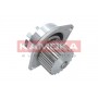 T0079 KAMOKA Водяний насос охолодження двигуна