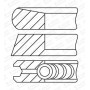WG1736176 WILMINK GROUP Комплект поршневих кілець