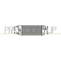 FT124N002 PRASCO Интеркулер