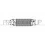 FT124N002 PRASCO Интеркулер