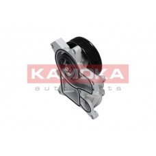 T0048 KAMOKA Водяний насос охолодження двигуна