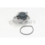 WP6092 CONTINENTAL CTAM Водяний насос охолодження двигуна