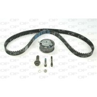 TBK5106.11 OPEN PARTS Комплект ременя ГРМ