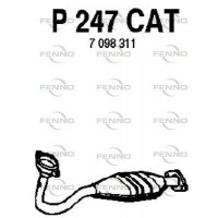 P247CAT FENNO Катализатор