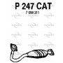 P247CAT FENNO Катализатор