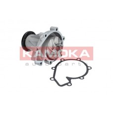 T0181 KAMOKA Водяний насос охолодження двигуна