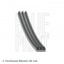 AD03R750 BLUE PRINT Поліклиновий ремінь