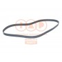 140-17007 IAP QUALITY PARTS Поліклиновий ремінь
