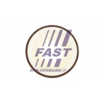 FT49817 FAST Ущільнювальне кільце колінчастий вал