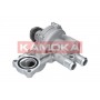 T0043 KAMOKA Водяний насос охолодження двигуна