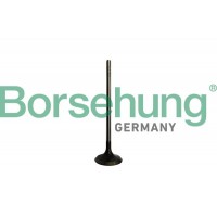 впускний клапан Borsehung B10328