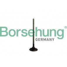 впускний клапан Borsehung B10328