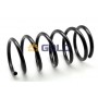 GZJ6496A JAPANPARTS Пружина ходової частини