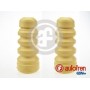D5050 AUTOFREN SEINSA Пилозахисний комплект амортизатор