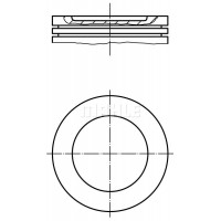 WG1212543 WILMINK GROUP Поршень
