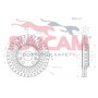 RD01369 RAICAM Гальмівний диск