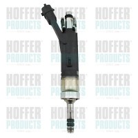 H75114380 HOFFER Клапанна форсунка
