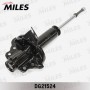 DG21524 MILES Амортизатор