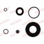 114-0120 QUICK BRAKE Ремкомплект, Гальмівний супорт