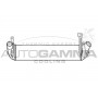 Интеркулер AUTOGAMMA 103354