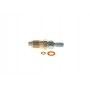 9 430 610 170 BOSCH Распылитель