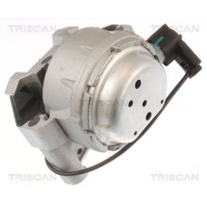 8505 29171 TRISCAN Підвіска двигун