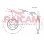 RD01164 RAICAM Гальмівний диск