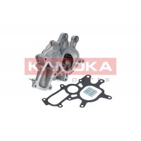 T0267 KAMOKA Водяний насос охолодження двигуна