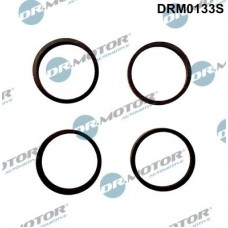 DRM0133S Dr.Motor Automotive Комплект прокладок впускний колектор