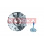 5500244 KAMOKA Комплект підшипника ступиці колеса