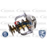 A38-99-0013 ACKOJA Термостат охолоджувальна рідина