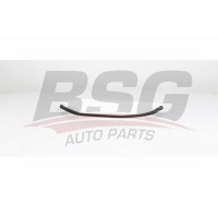 BSG 60-145-004 BSG Фільтр повітря у внутрішньому просторі