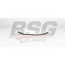 BSG 60-145-004 BSG Фільтр повітря у внутрішньому просторі